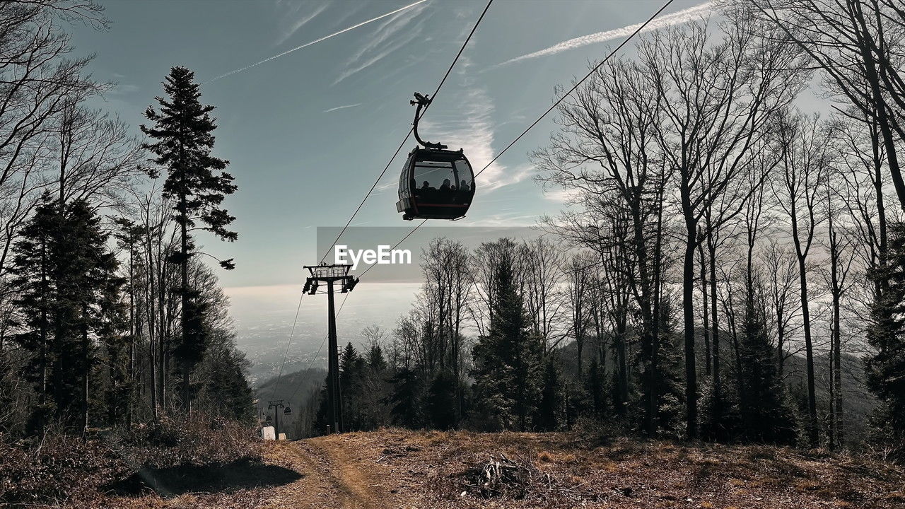 tree, plant, winter, cable car, nature, sky, transportation, land, overhead cable car, ski lift, snow, mode of transportation, forest, cable, no people, scenics - nature, mountain, beauty in nature, non-urban scene, technology, day, outdoors, travel, hanging, tranquil scene, low angle view, landscape, tranquility, electricity