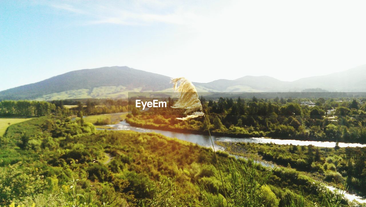 Scenic view of agricultural landscape against sky