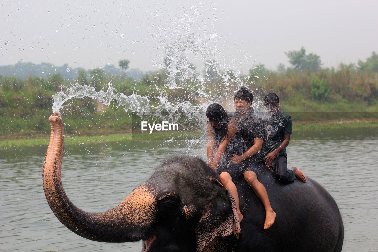 Full length of people sitting on elephant in river
