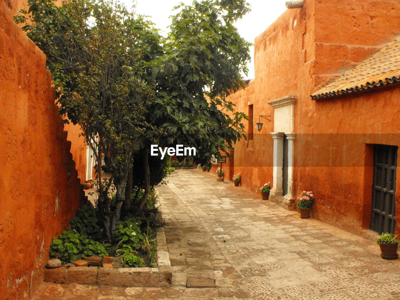 Narrow alley along buildings