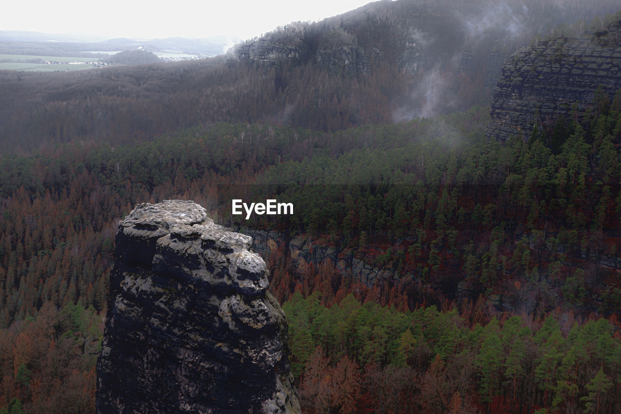 SCENIC VIEW OF ROCKY MOUNTAIN