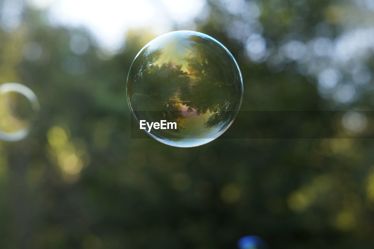 CLOSE-UP OF CRYSTAL BALL ON TREES