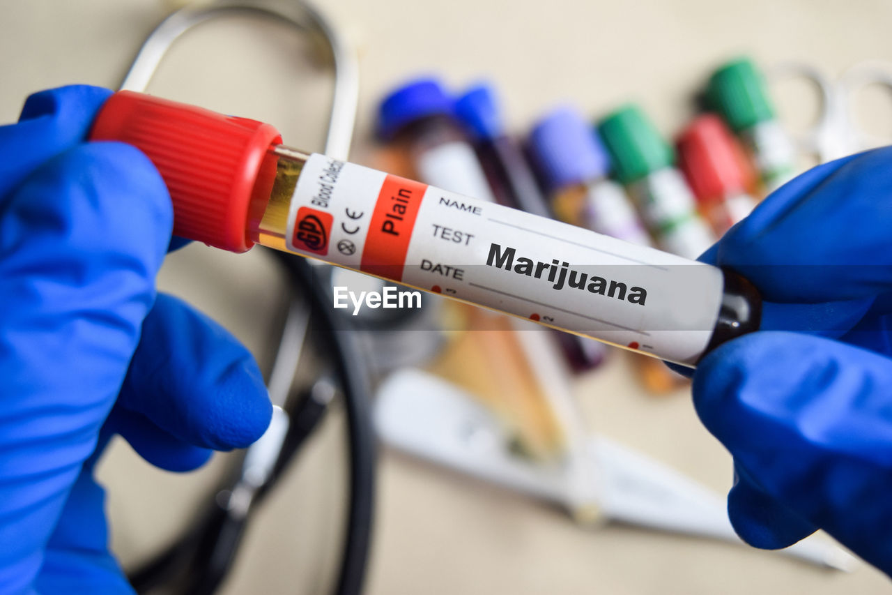 midsection of doctor holding dentures