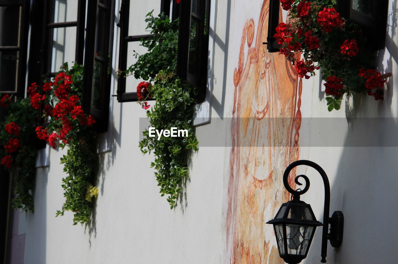 POTTED PLANTS HANGING OUTSIDE HOUSE