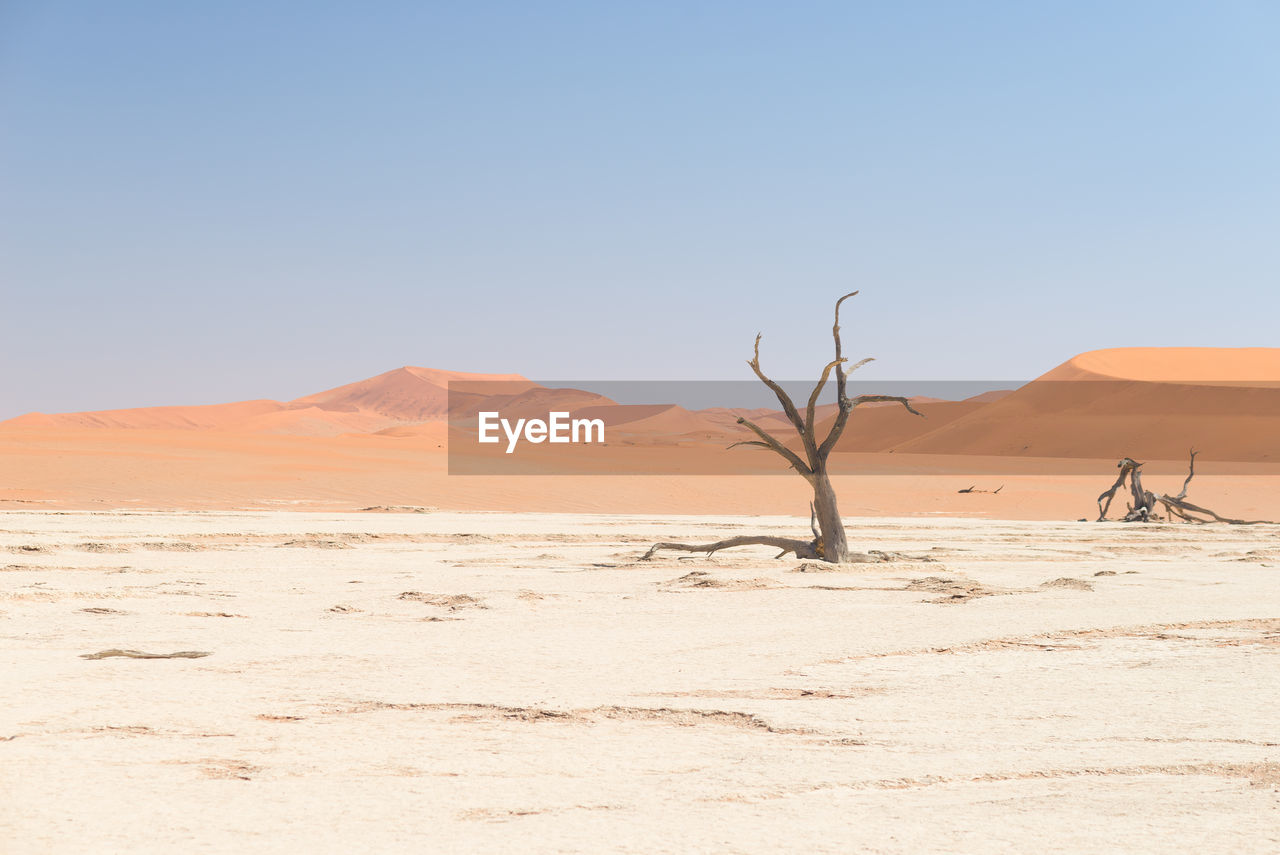 View of a desert