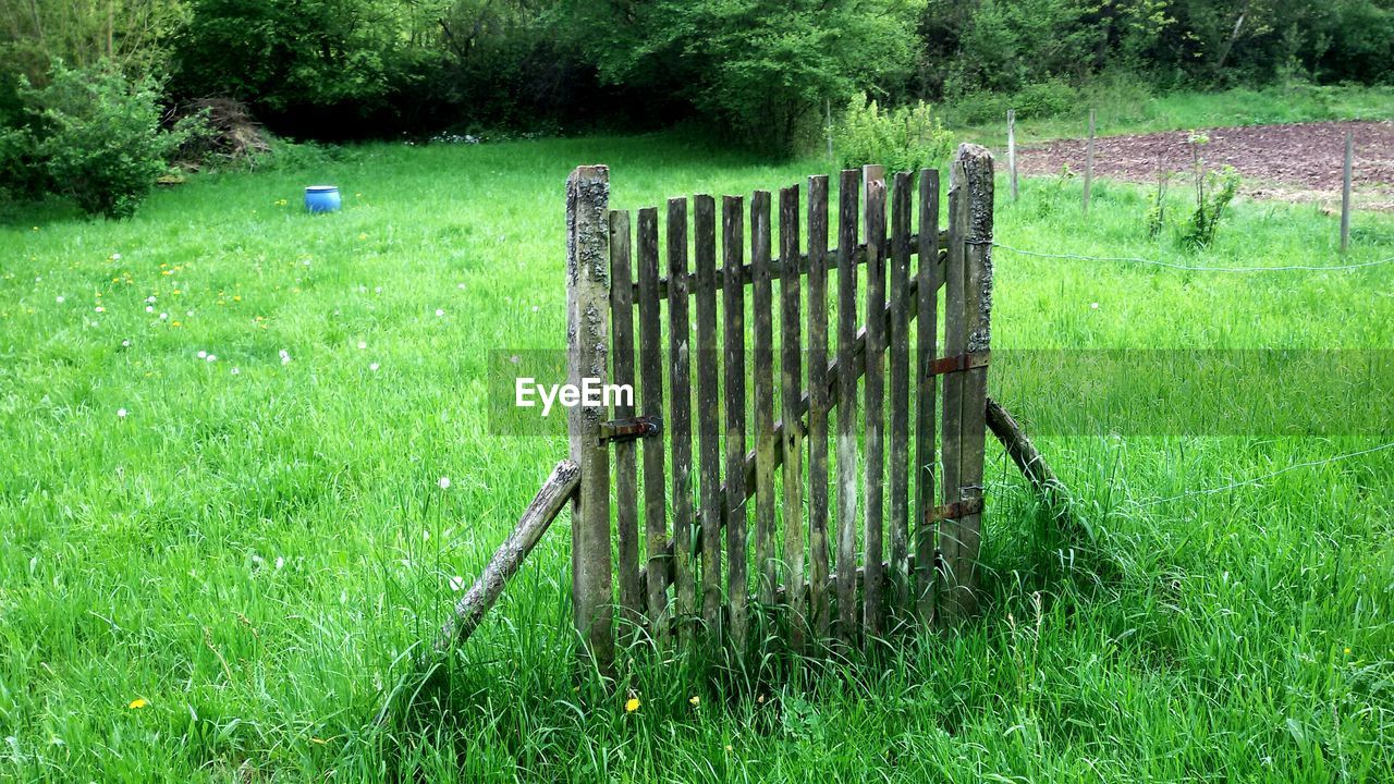 Fence on grassy field