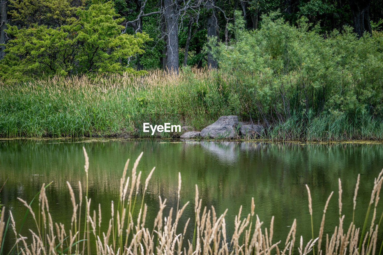 SCENIC VIEW OF RIVER