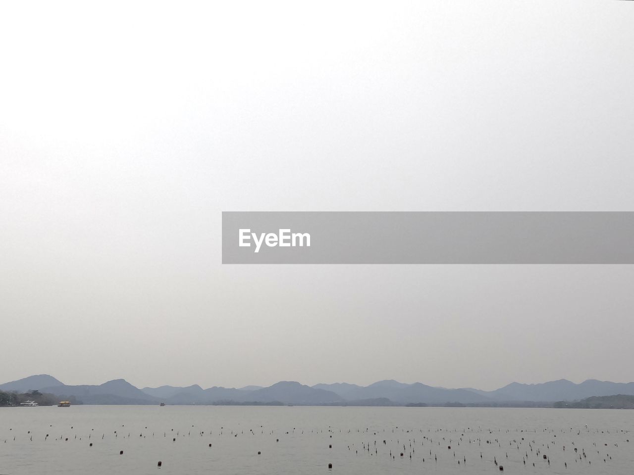 horizon, water, mountain, sky, scenics - nature, beauty in nature, nature, animal themes, fog, tranquility, animal, tranquil scene, environment, animal wildlife, bird, no people, landscape, copy space, group of animals, wildlife, land, sea, morning, mountain range, natural environment, day, outdoors, large group of animals, non-urban scene, travel destinations, beach, flamingo, shore