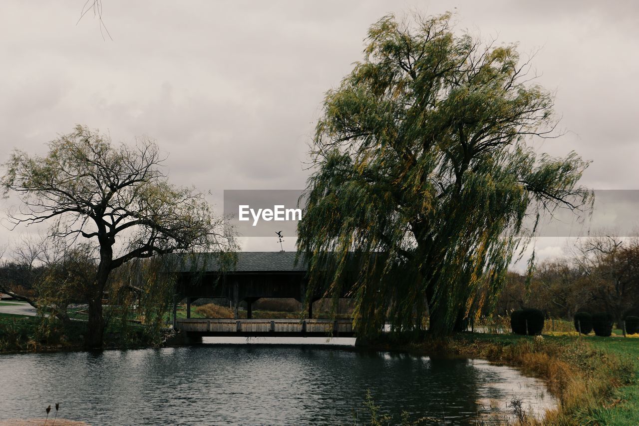 Trees by pond in park against sky