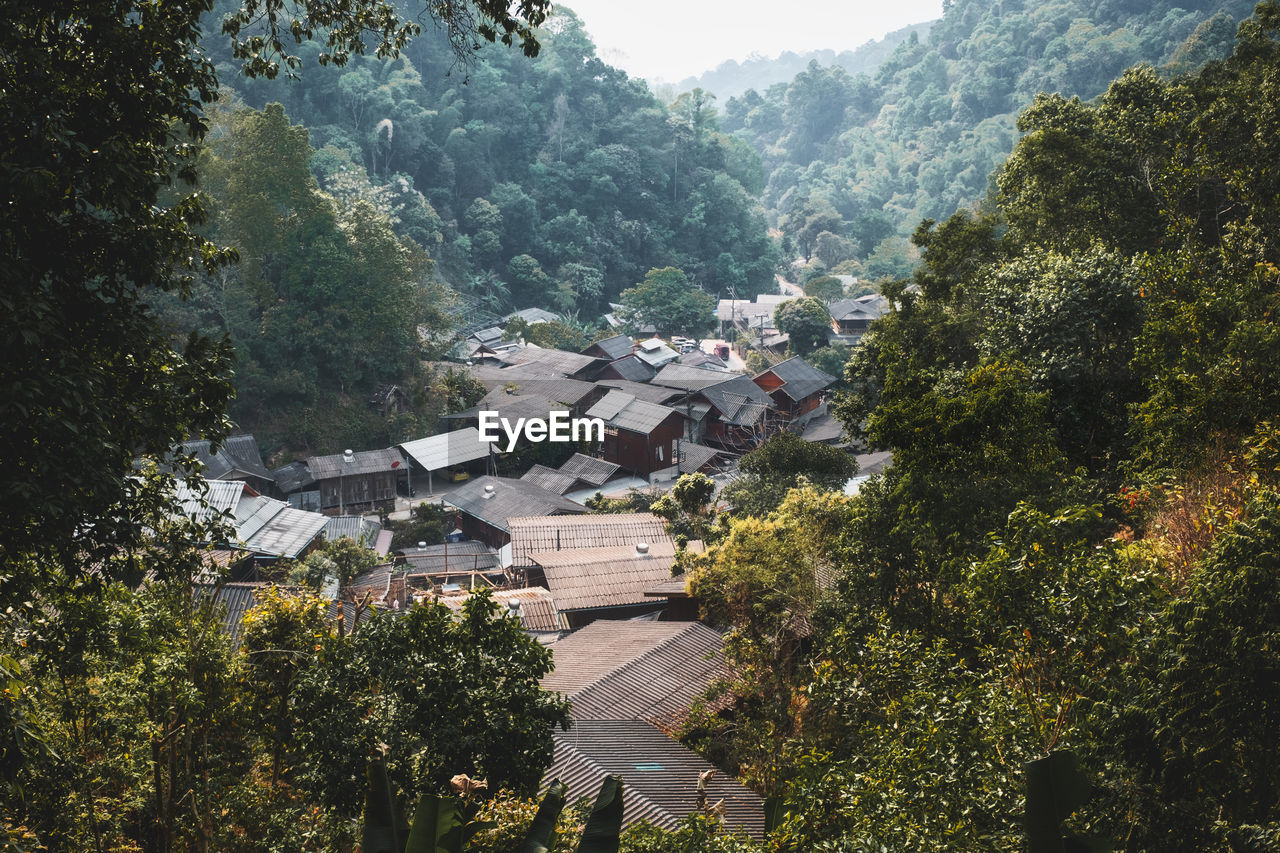 High angle view of trees and buildings