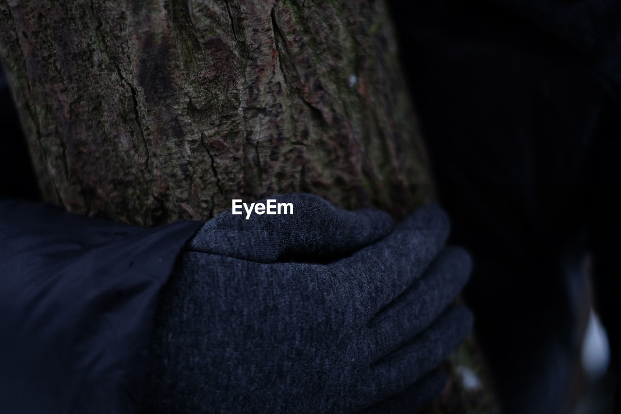 Cropped hand wearing gloves holding tree trunk