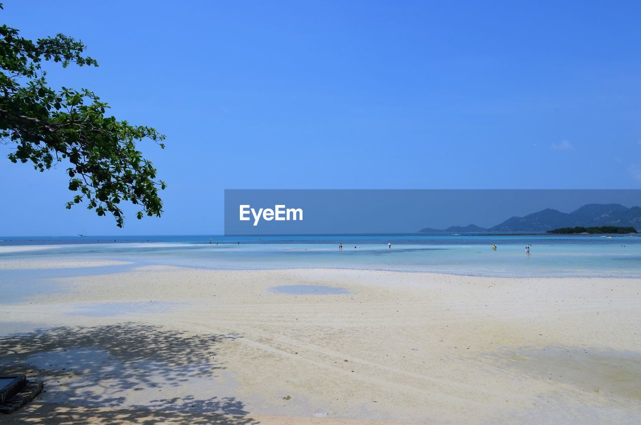 Scenic view of beach against clear blue sky