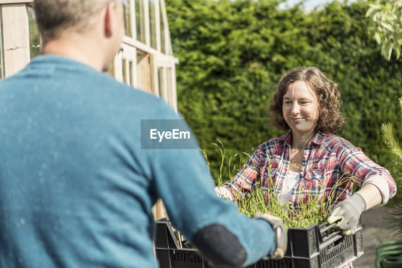 Smiling woman giving plant crate to man at community garden