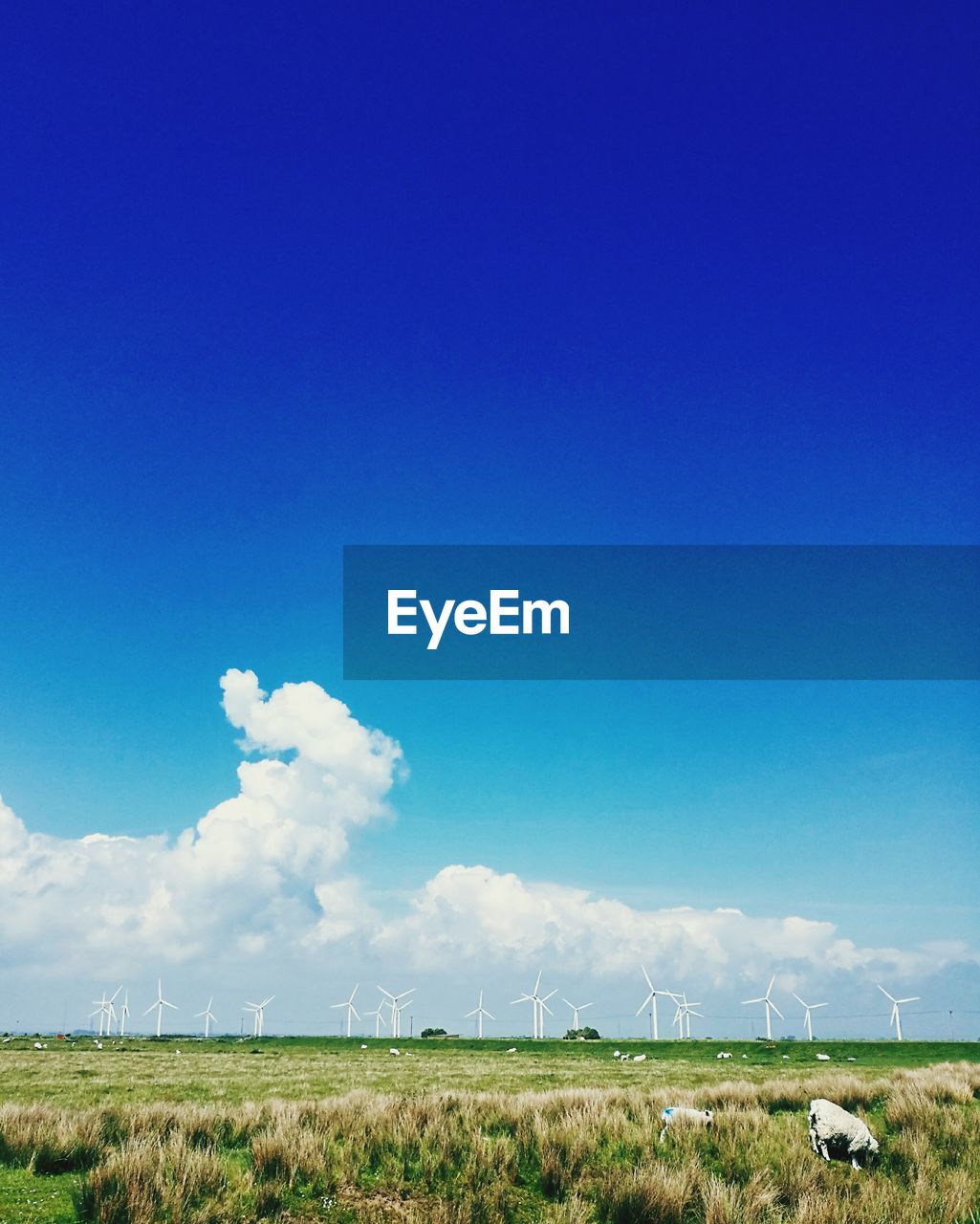 Scenic view of field against blue sky