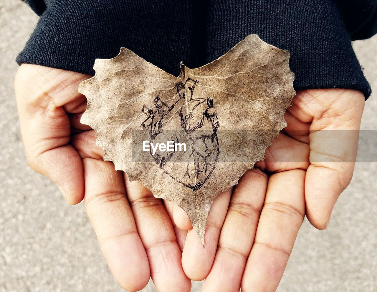 Cropped hands of person holding leaf with human heart sketch on it