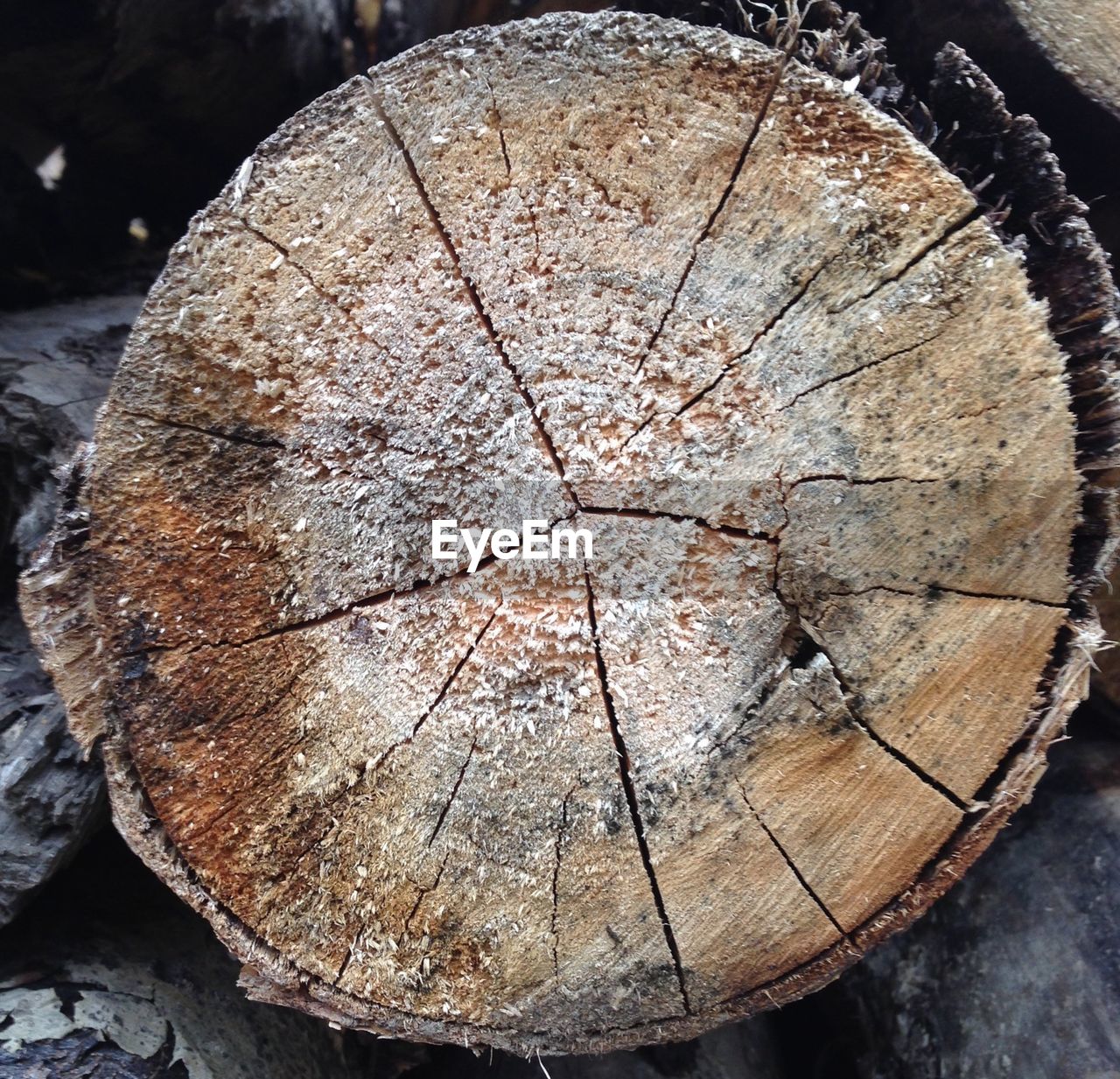 CLOSE-UP OF LOGS ON WOOD