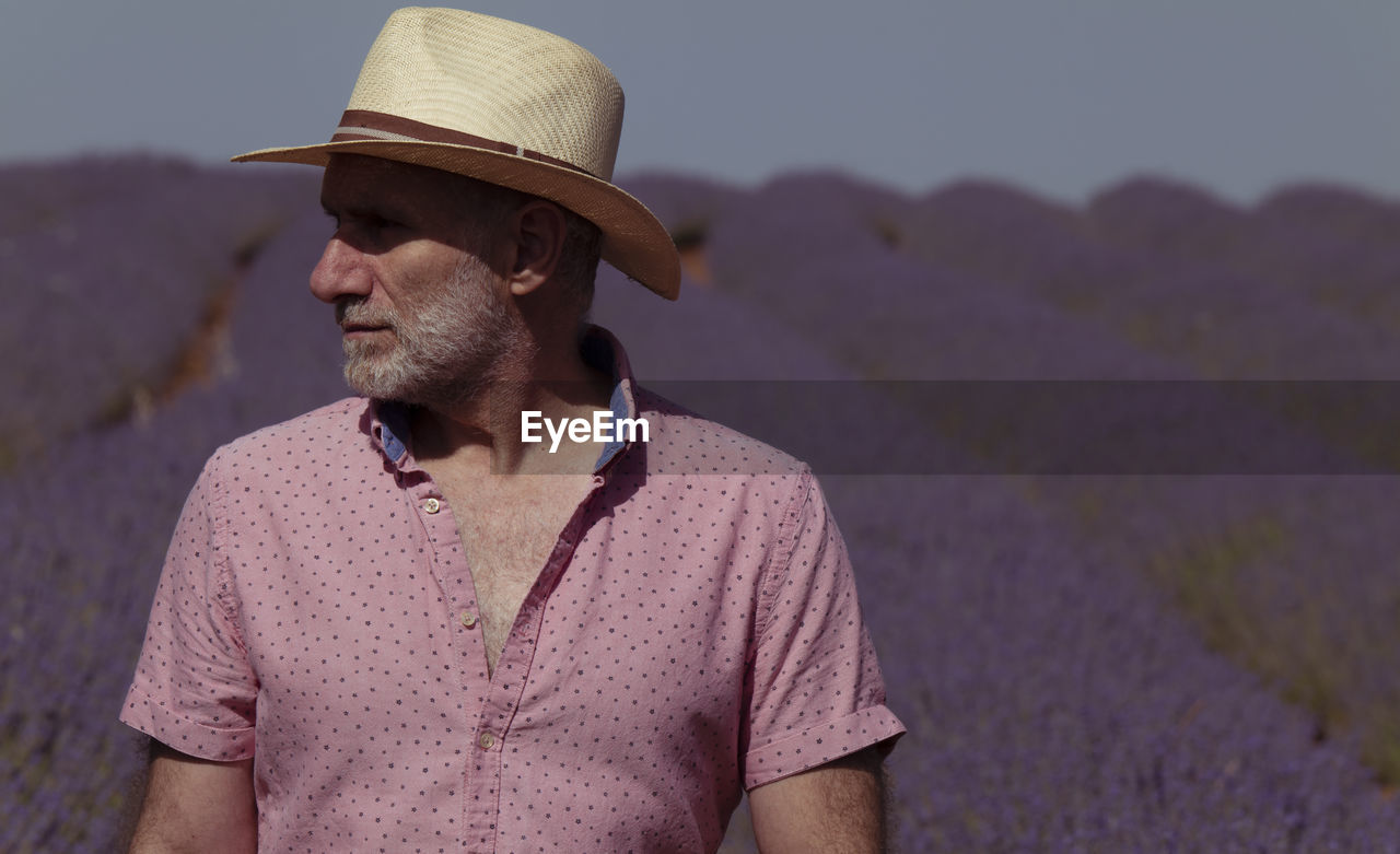 Adult man in hat on lavender fields. brihuega, spain