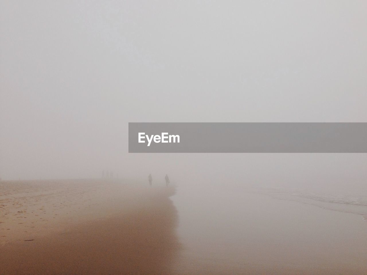 Beach in fog