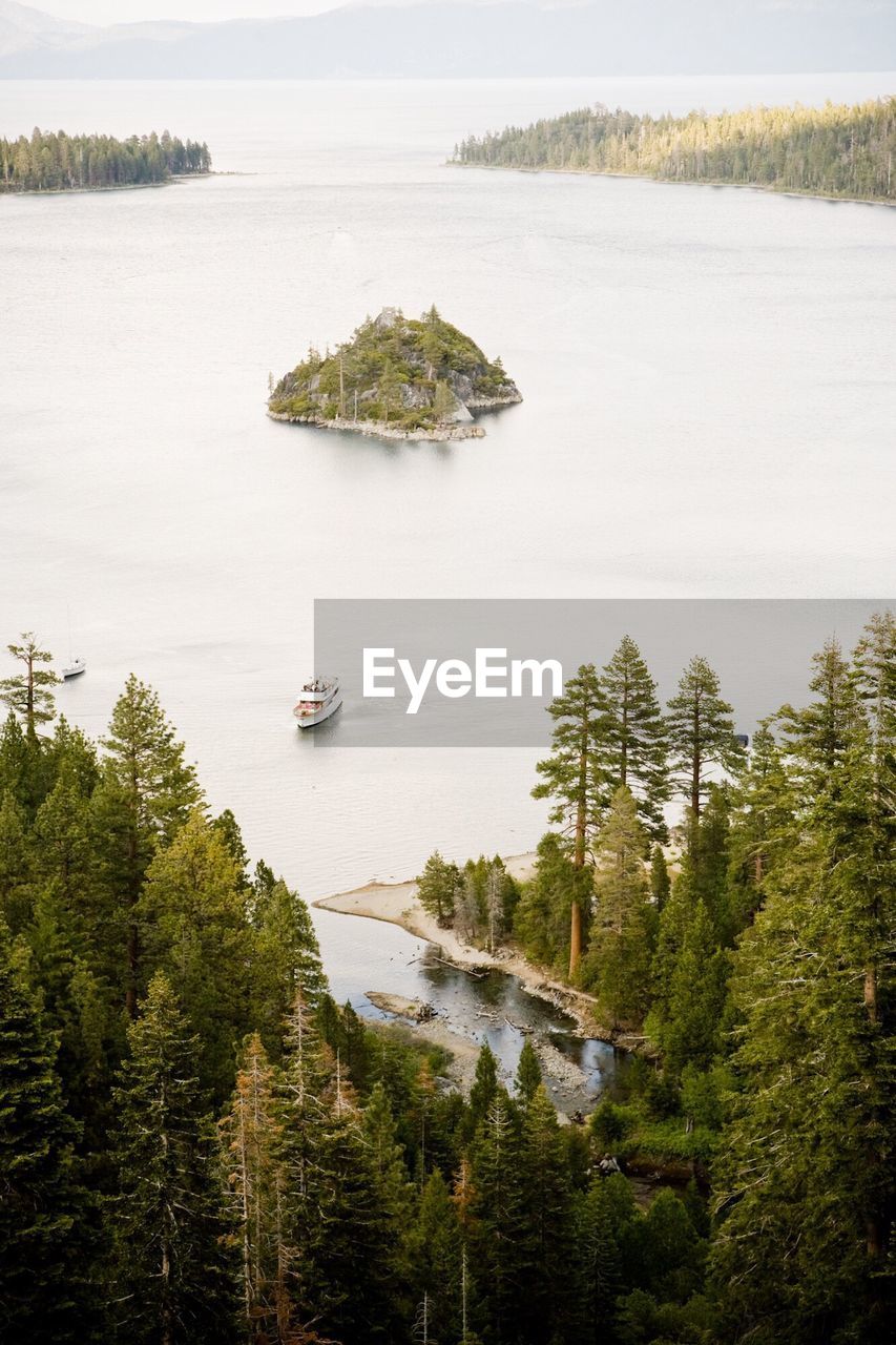 High angle view of lake amidst trees in forest