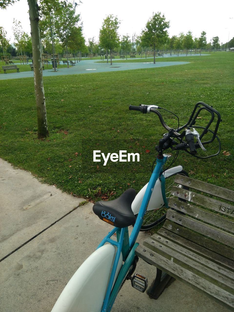 BICYCLE PARKED ON GRASS IN PARK