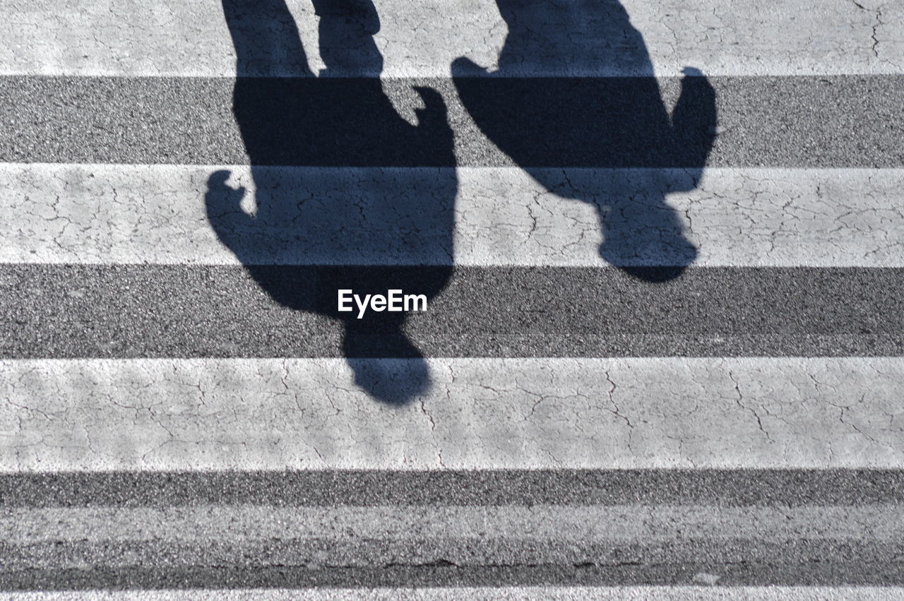 Shadow of people on zebra crossing