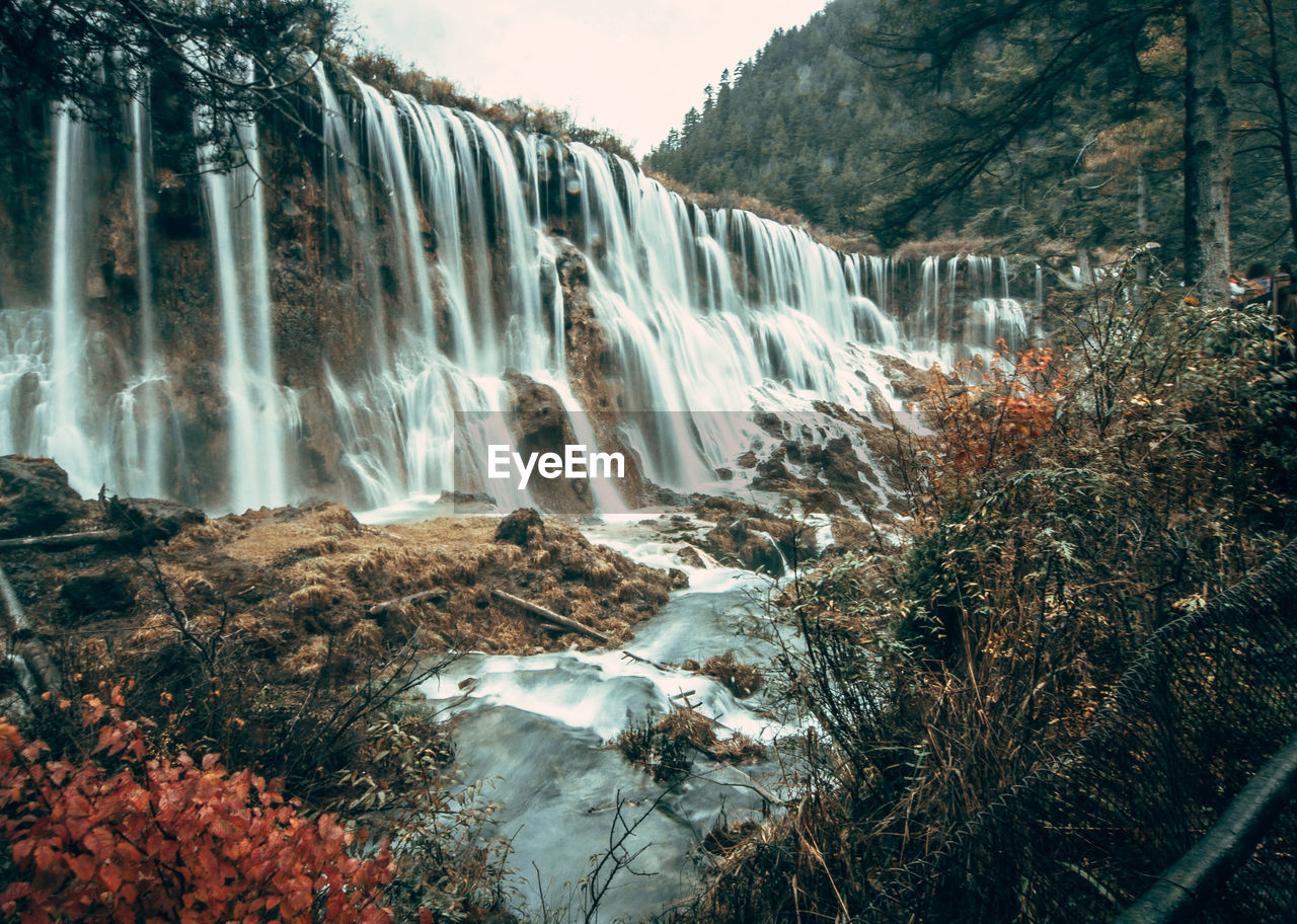 Scenic view of waterfall in forest