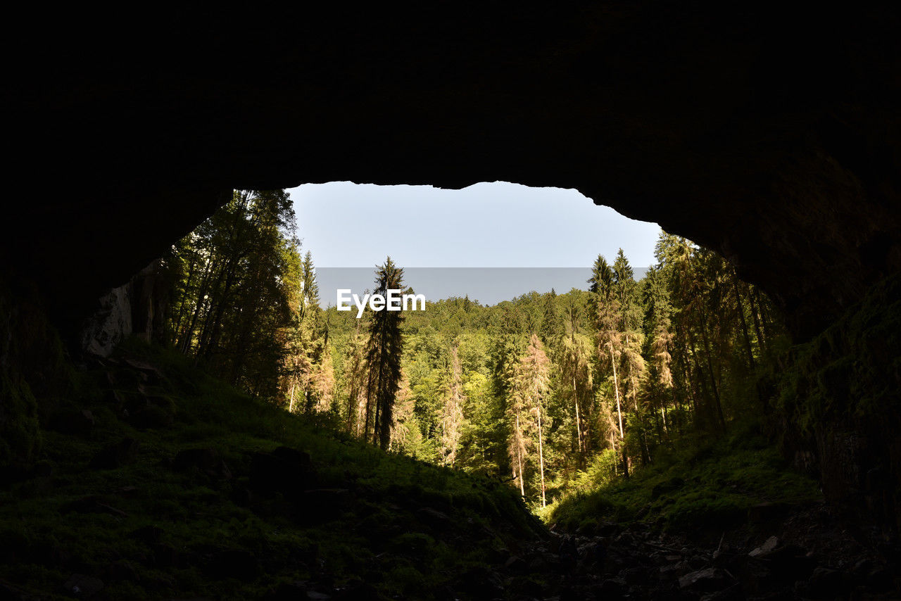 Cave entrance silhouette from inside. mysterious view from underground