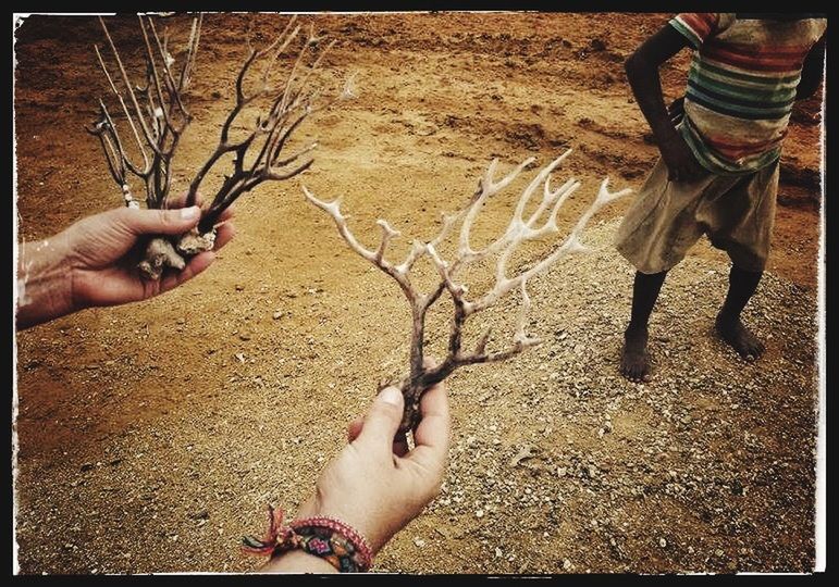 CROPPED IMAGE OF HAND HOLDING