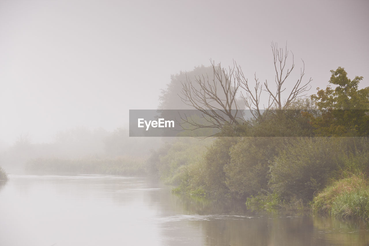 TREES BY LAKE AGAINST SKY