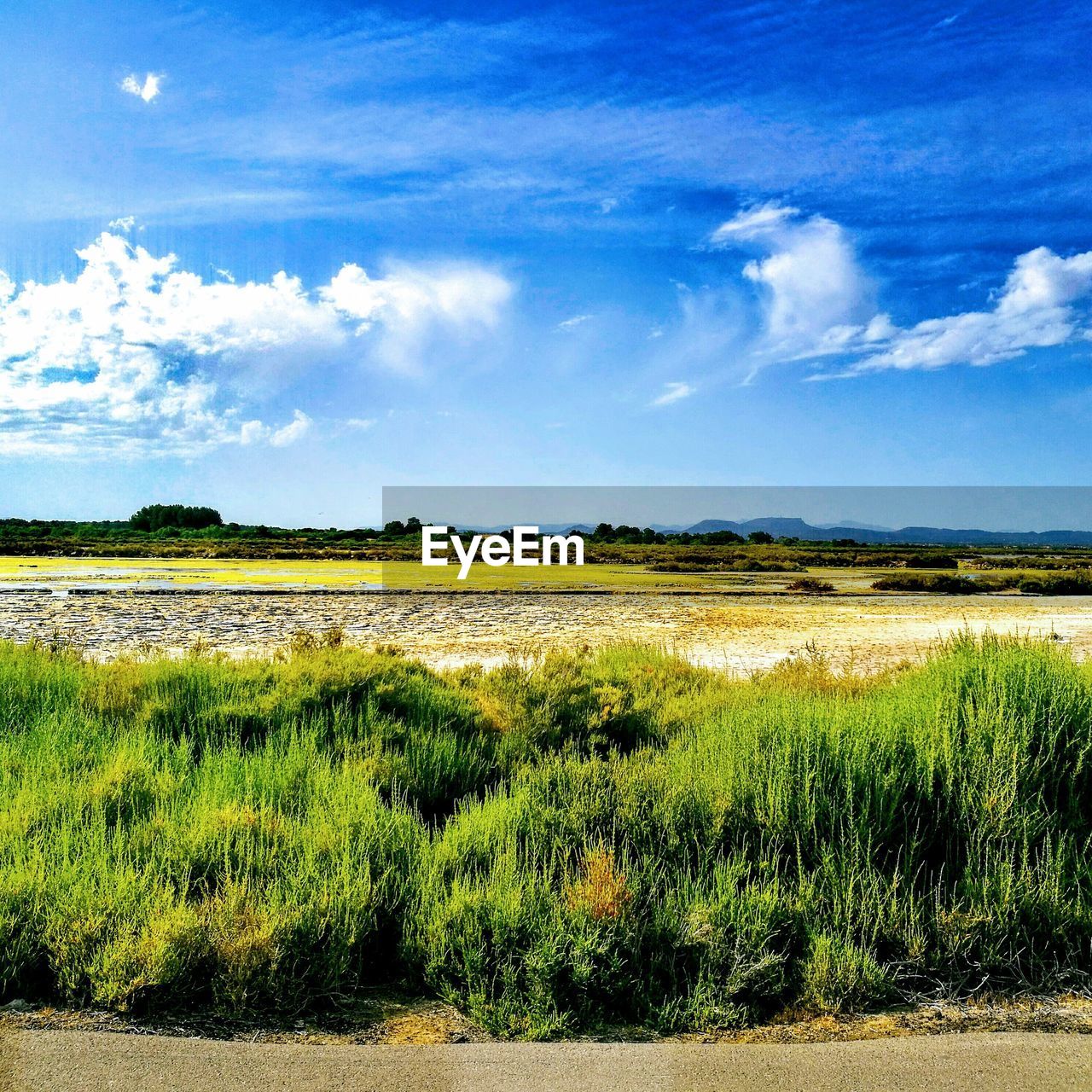 SCENIC VIEW OF FARM FIELD AGAINST SKY