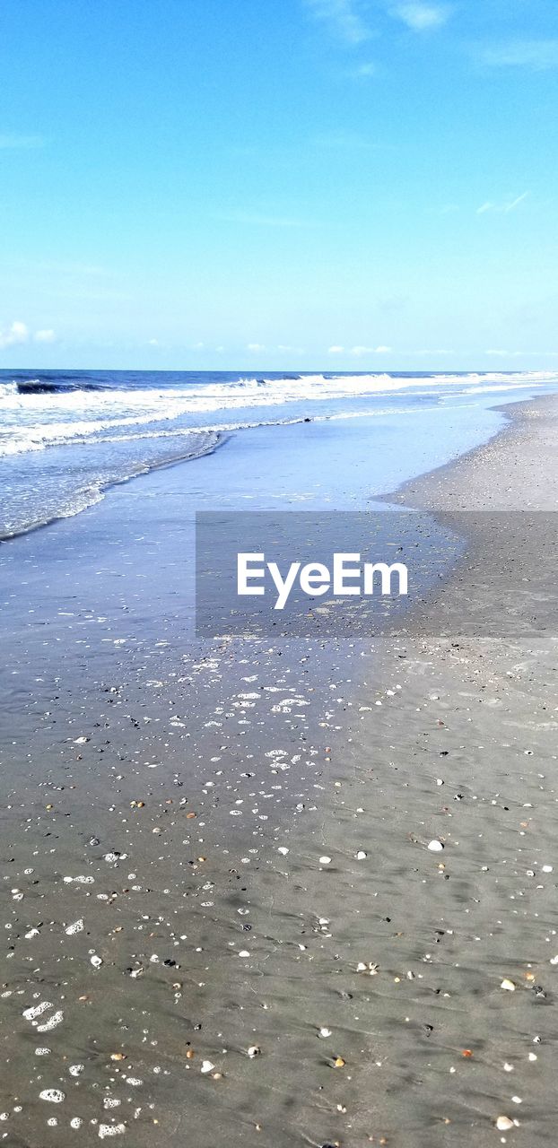 SCENIC VIEW OF BEACH