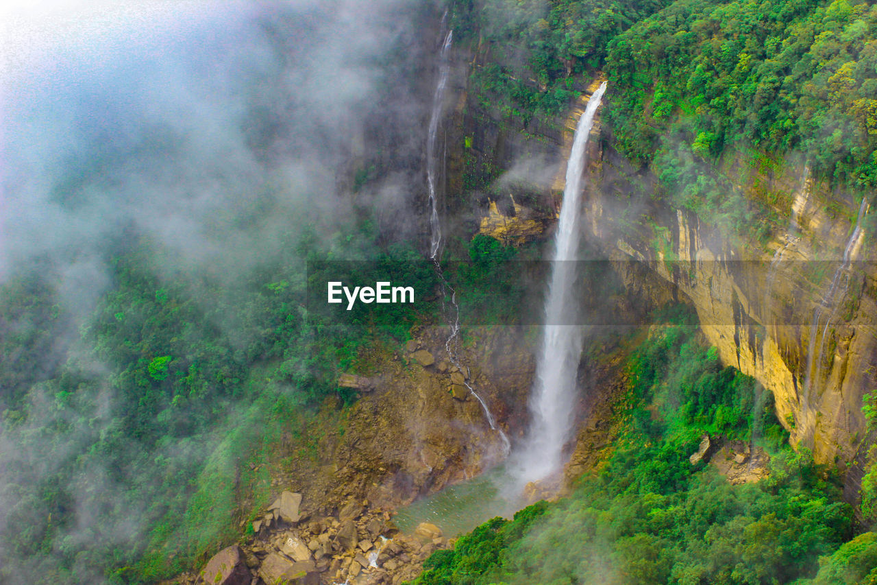 Scenic view of waterfall in forest