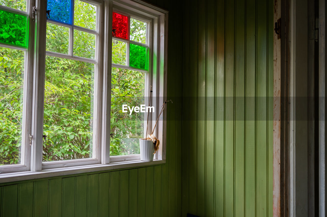 Plants seen through window at home