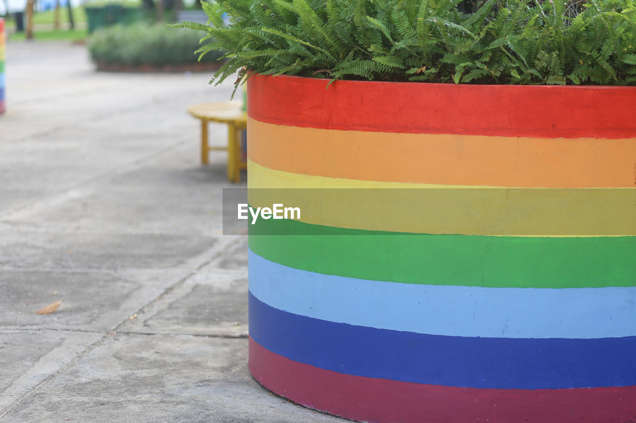 The tree basin is decorated with seven colors of the rainbow