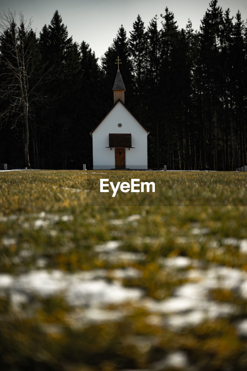 Landscape and church against trees