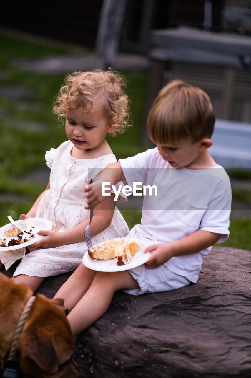 Siblings eating dessert in plates while sitting on wood in yard
