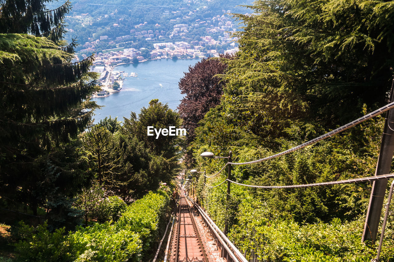 Railway bridge amidst trees leading towards river