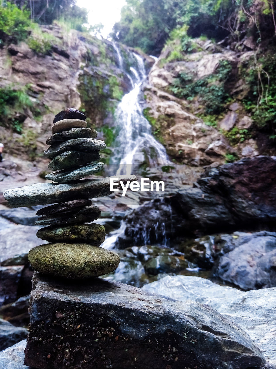 SCENIC VIEW OF WATERFALL IN FOREST