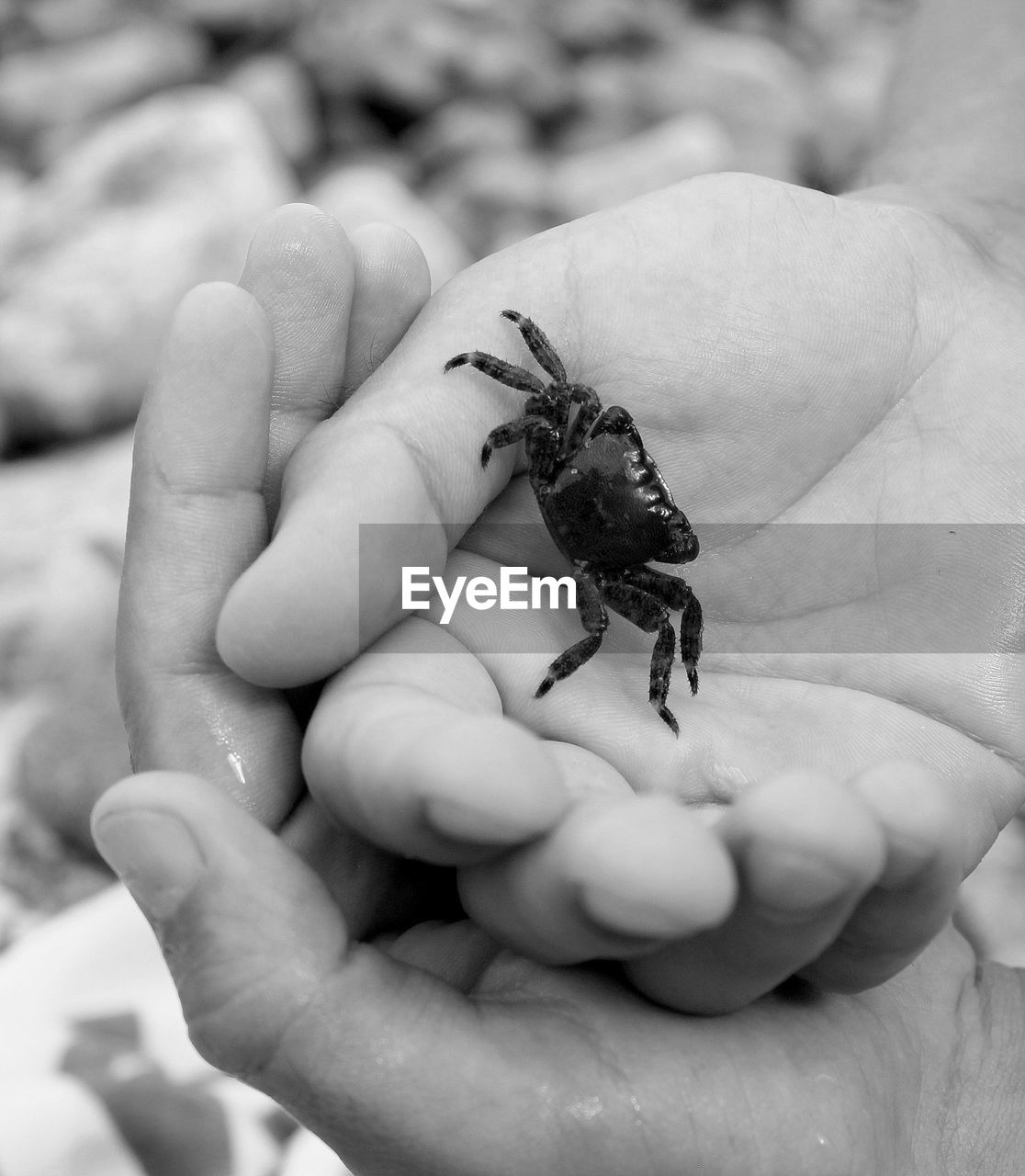 CLOSE-UP OF HANDS HOLDING BABY