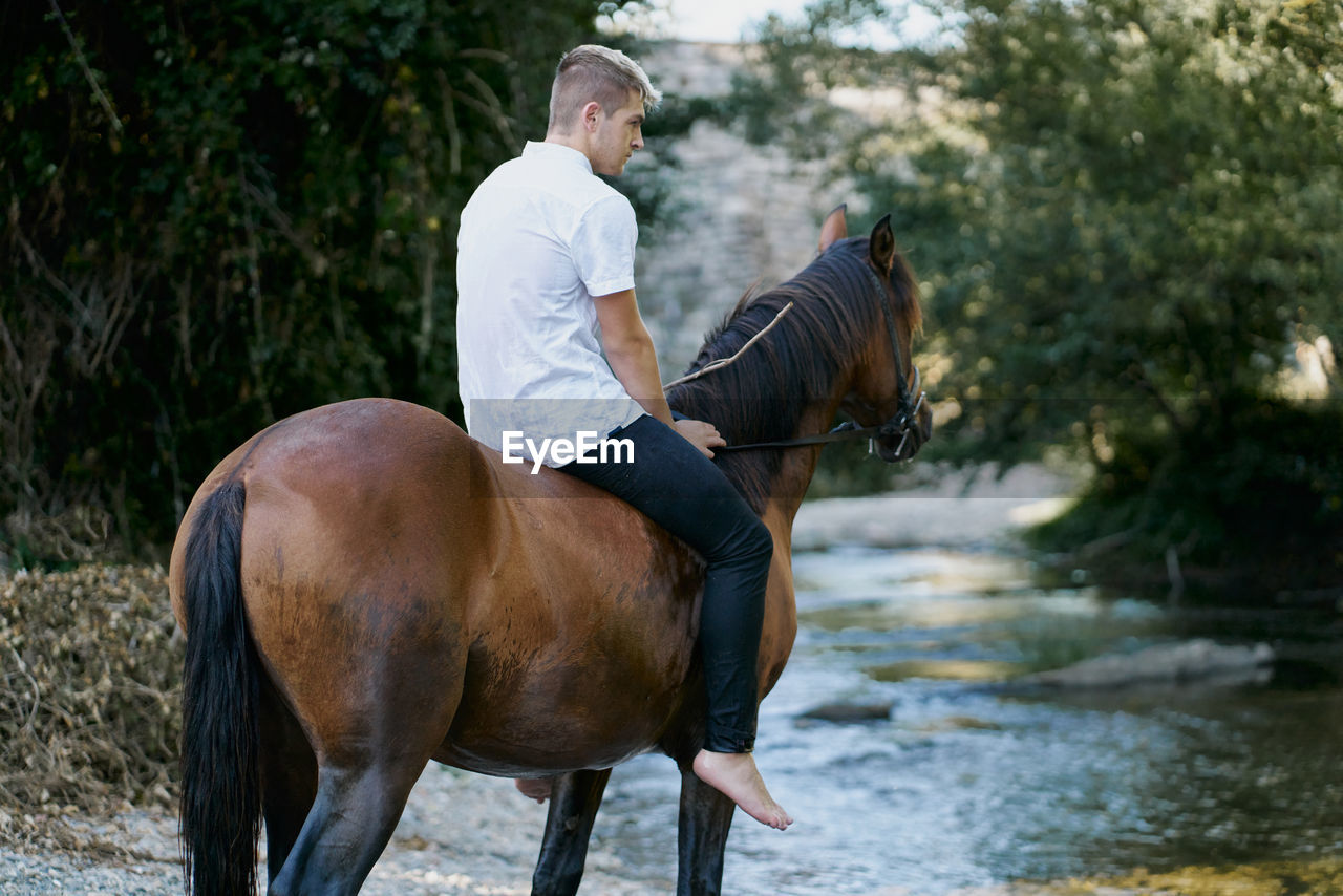Portrait of a young blond man riding a horse over a river