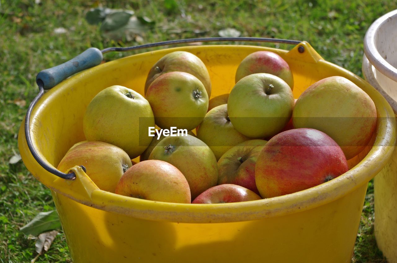 Close-up of apples in basket