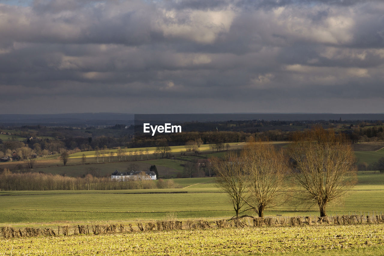 SCENIC VIEW OF FARM AGAINST SKY