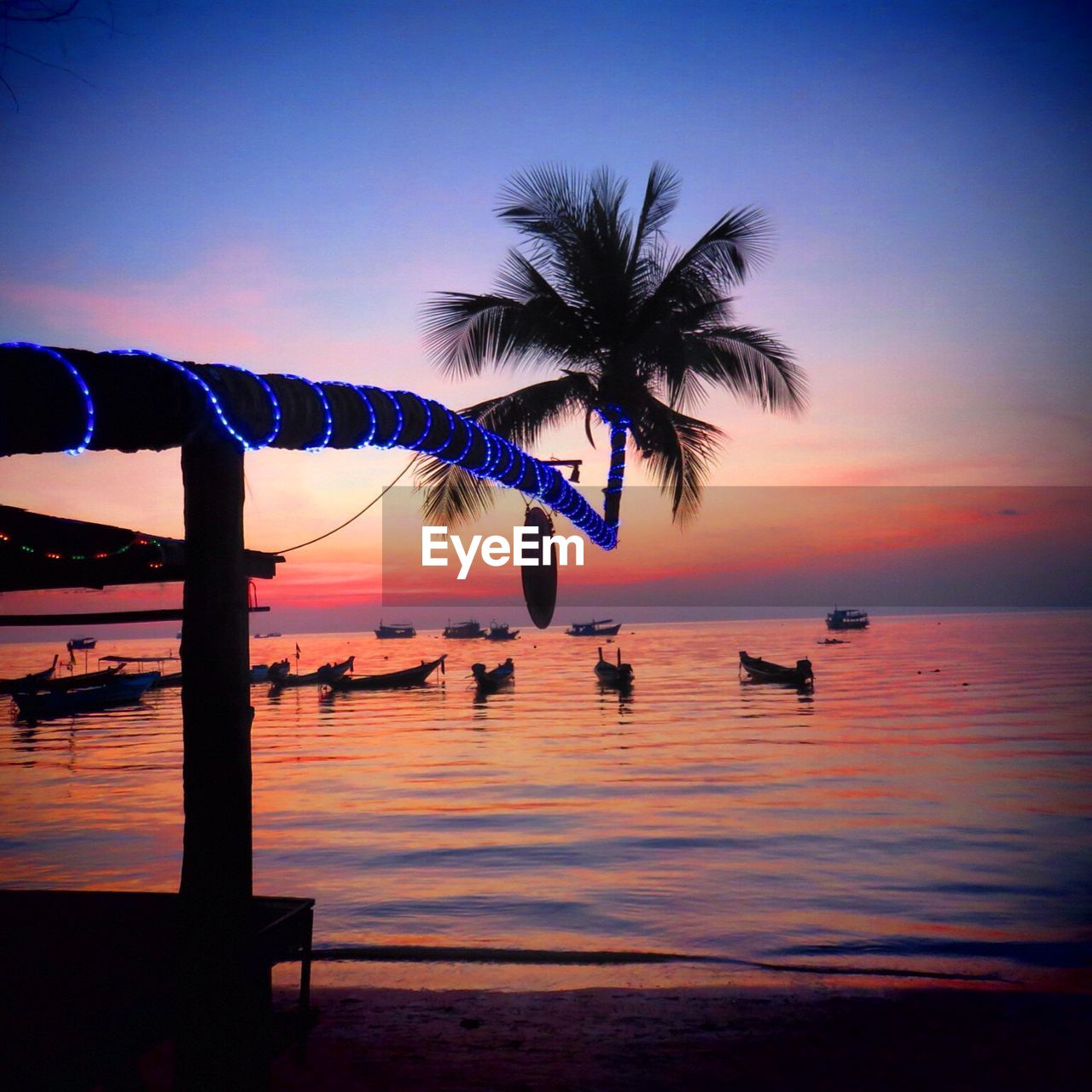 Lighting decoration on coconut palm tree over sea against sky during sunset