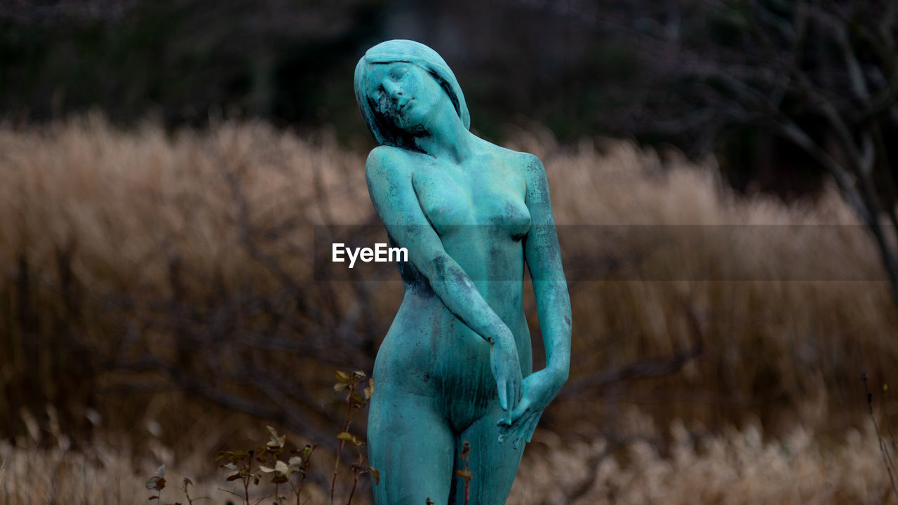 Close-up of blue statue on field