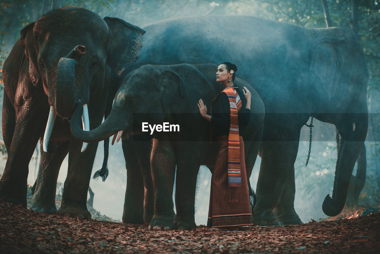 Young woman standing with elephant in forest