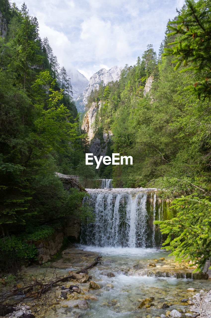 Scenic view of waterfall, gozd martuljek gorge