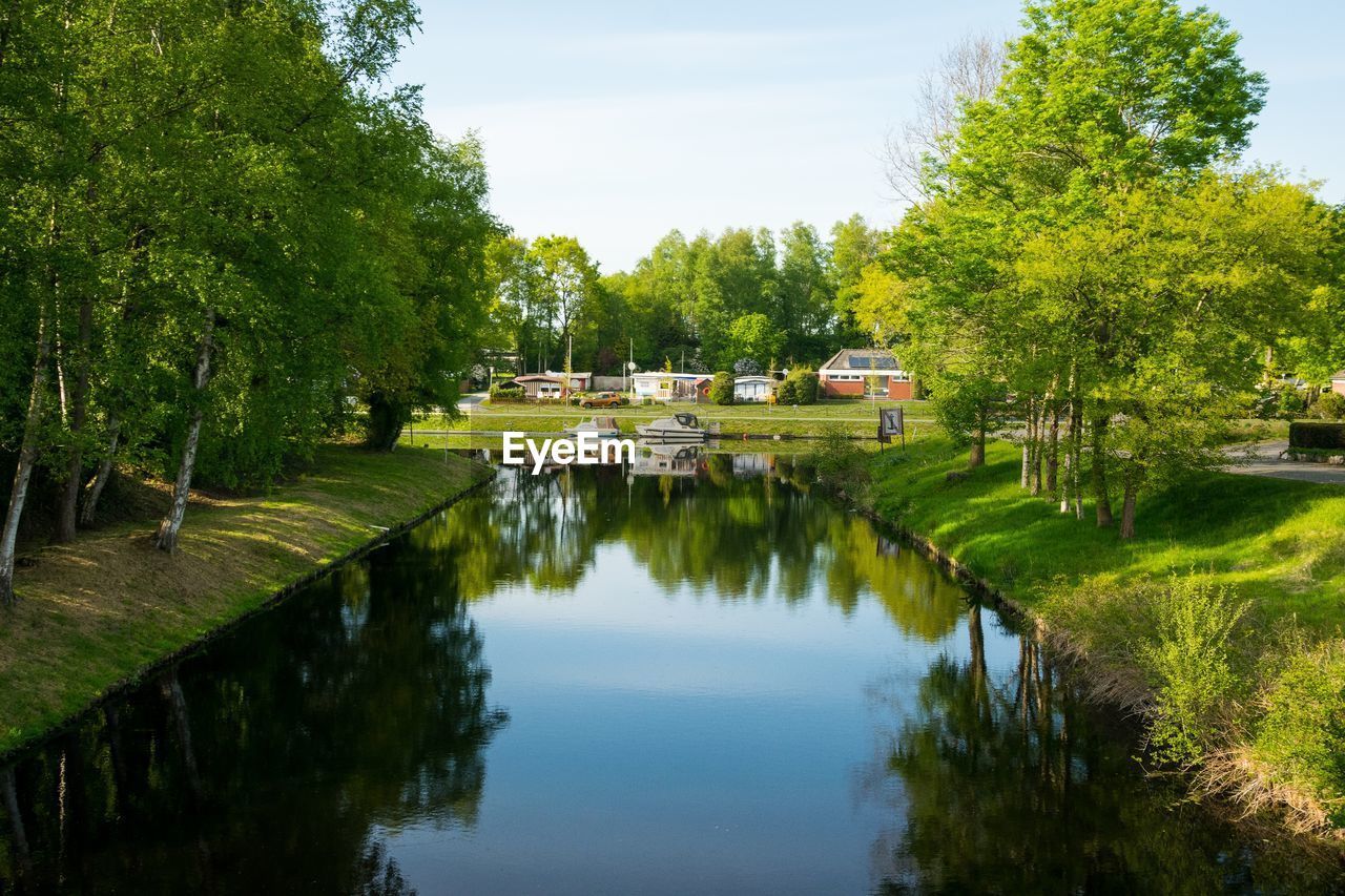 Scenic view of lake by trees against sky