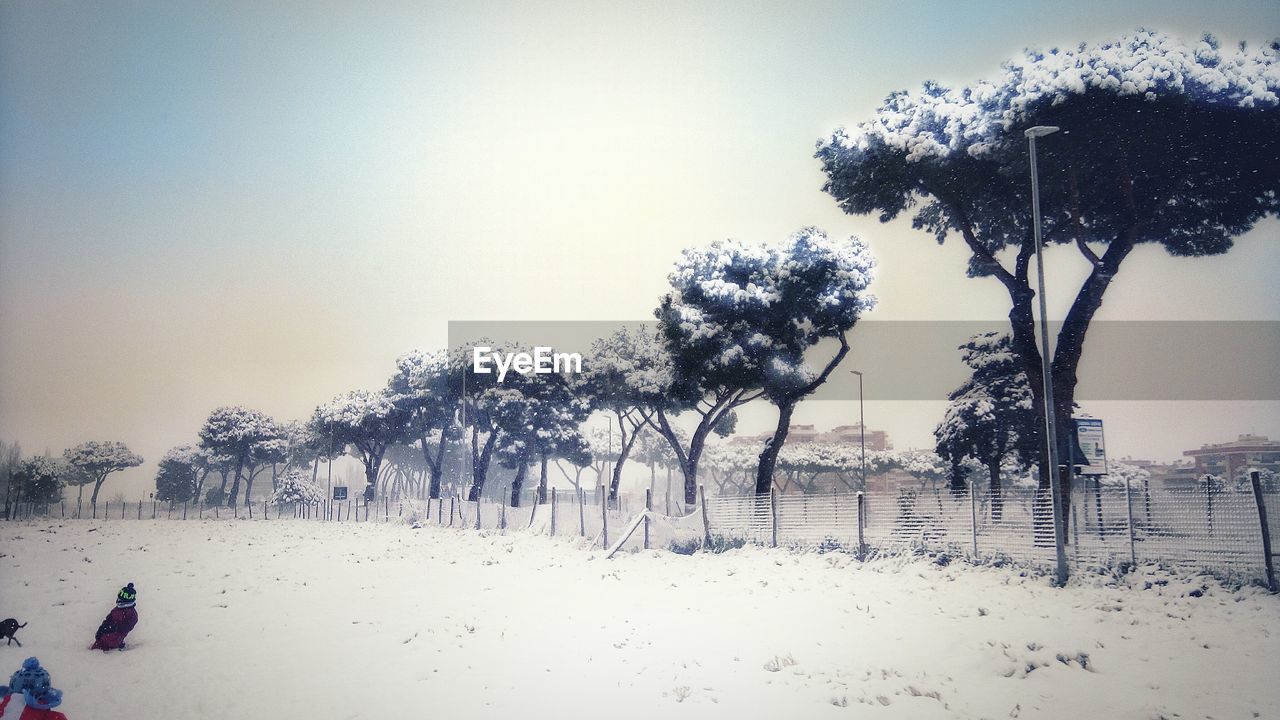 TREES ON SNOW COVERED FIELD AGAINST SKY