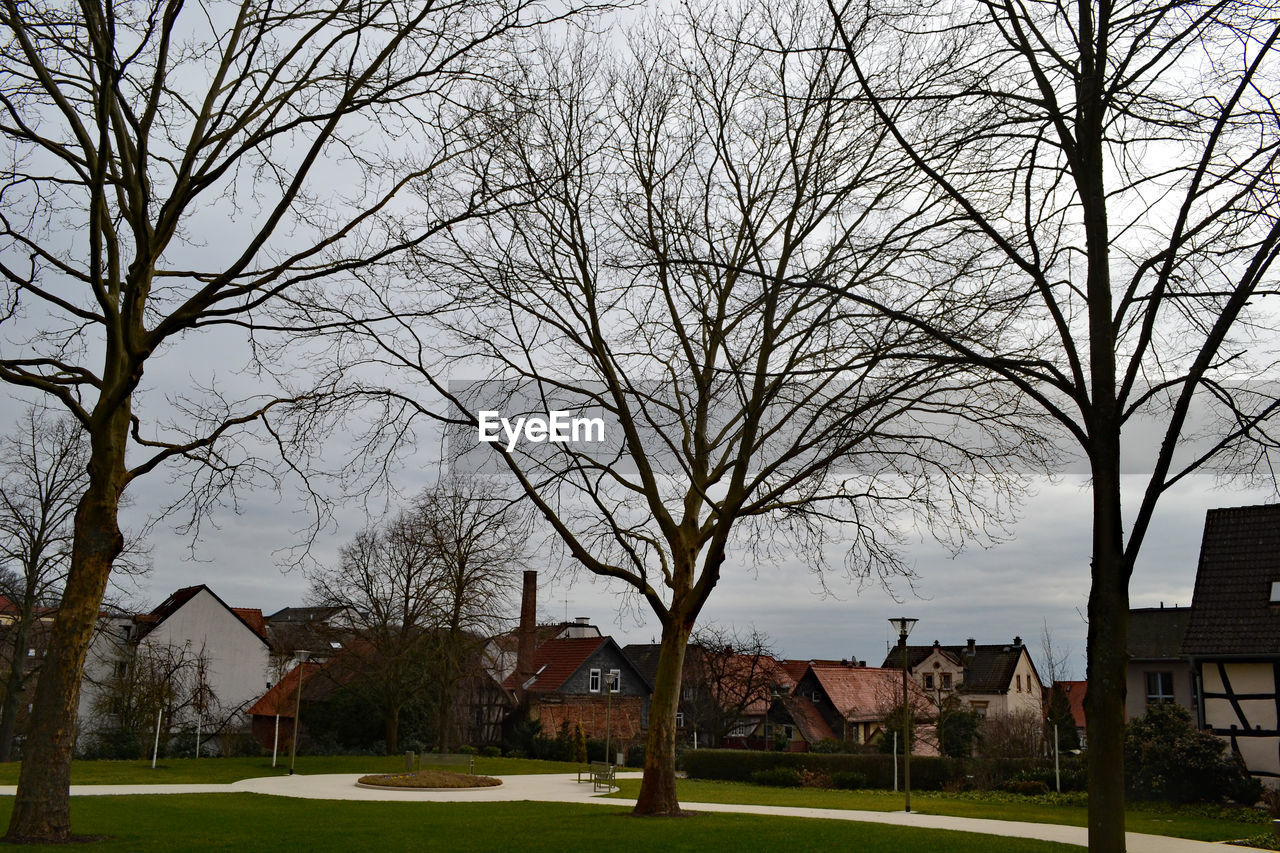 BARE TREES AND HOUSES IN PARK AGAINST SKY