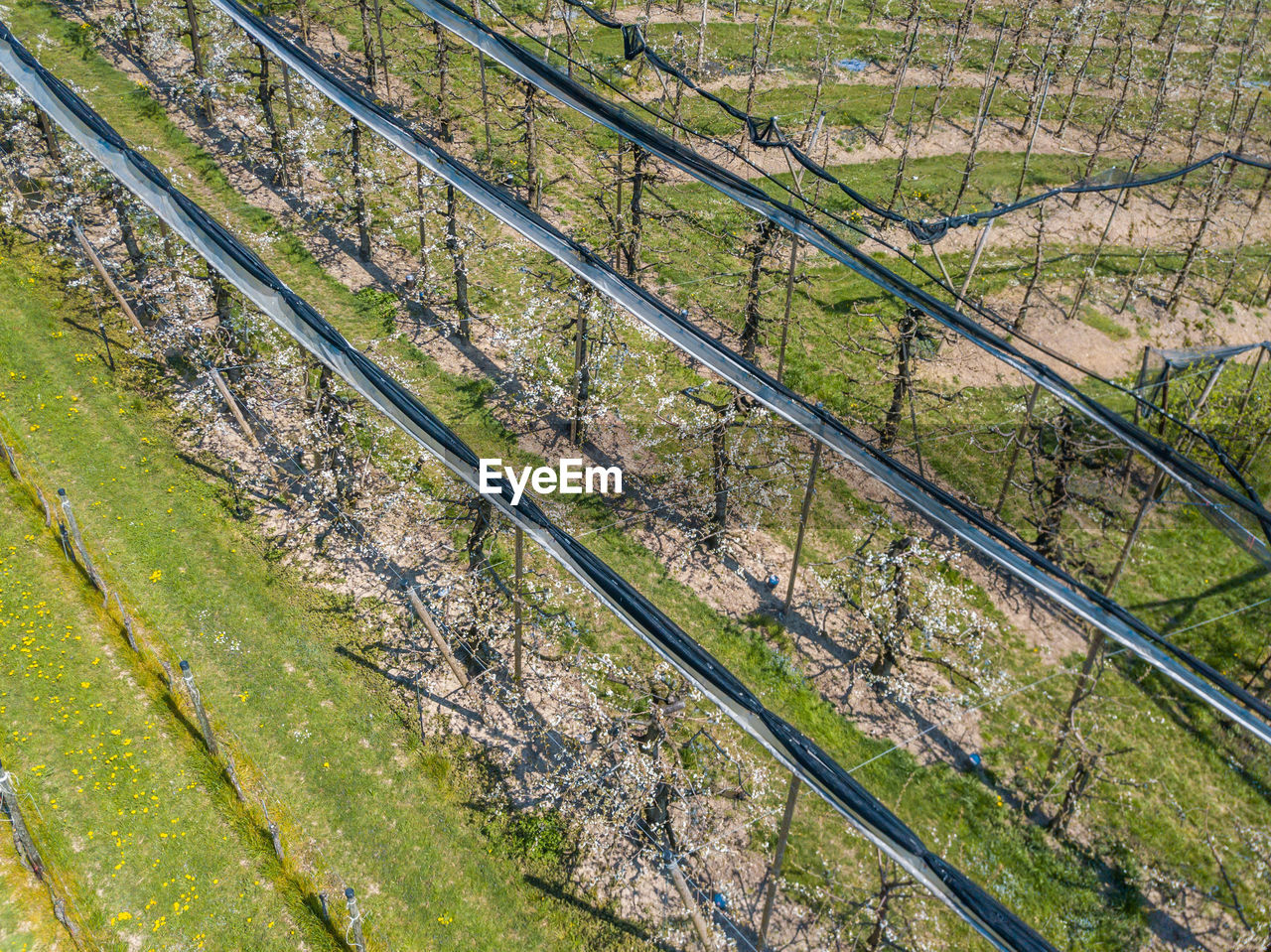 HIGH ANGLE VIEW OF RAILROAD TRACK AMIDST PLANTS